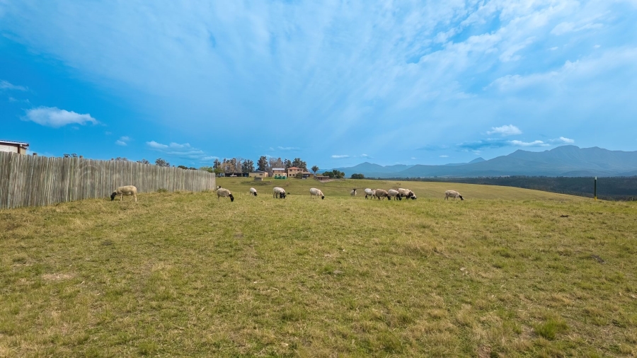 Commercial Property for Sale in Sedgefield Rural Western Cape